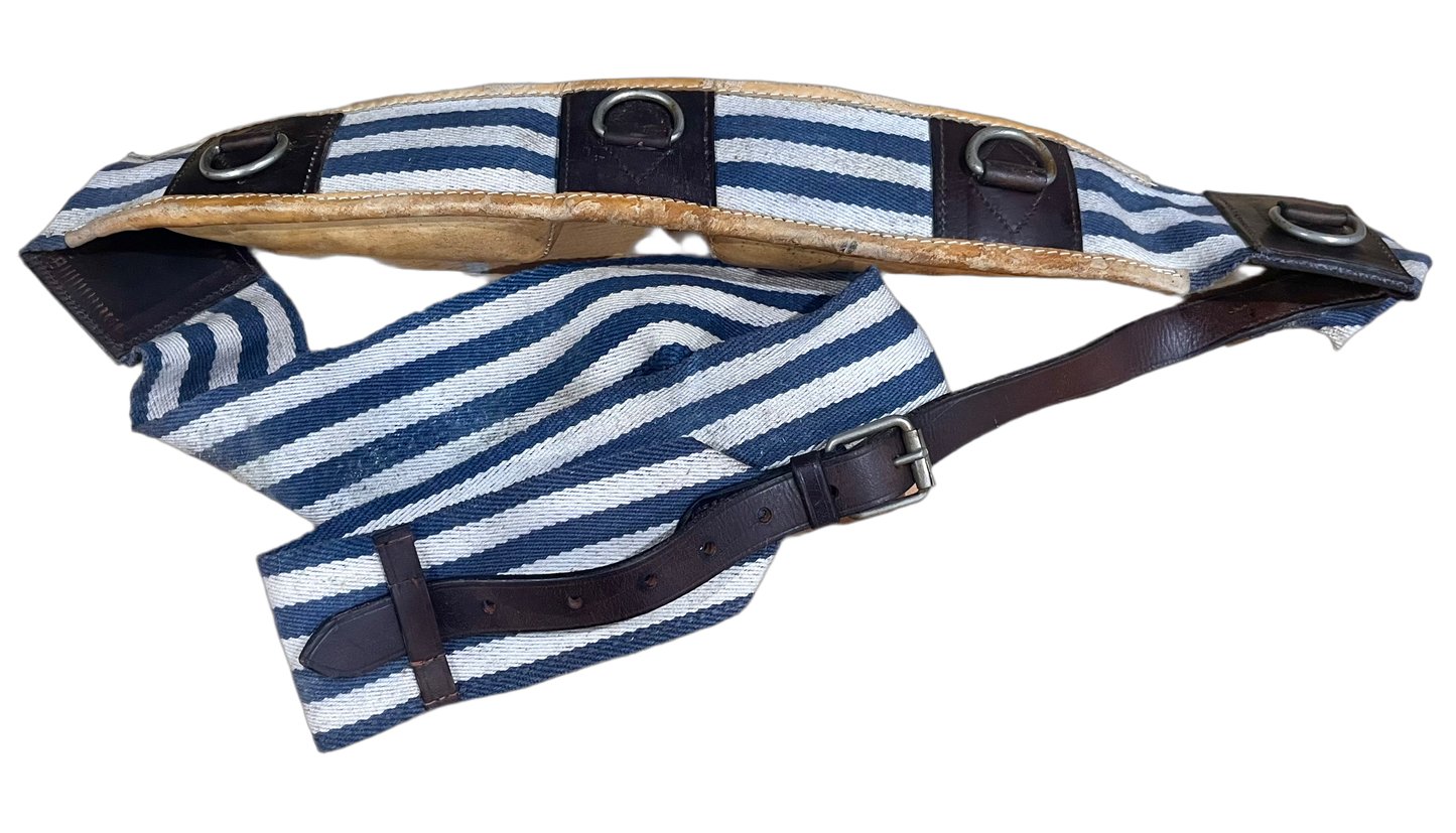 Leather padded Training Surcingle