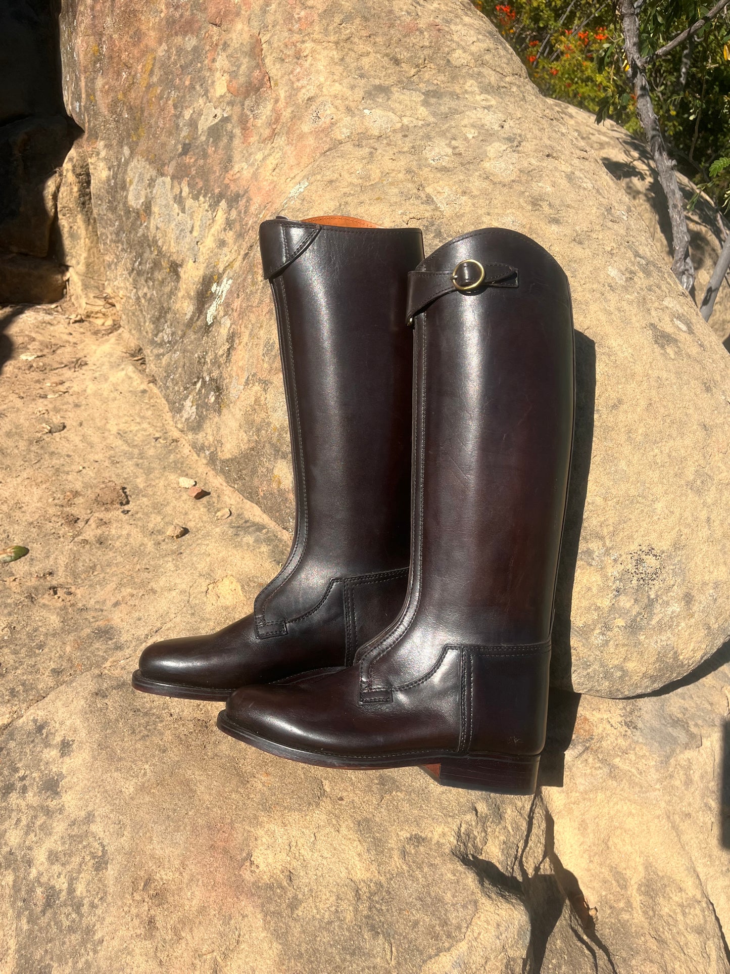 Pro Zipper Front Polo Boots