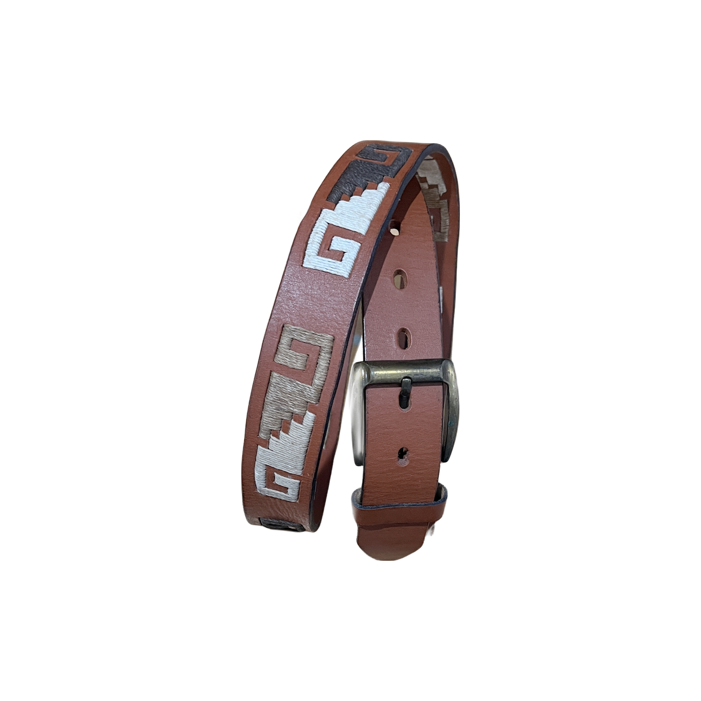 Pampa Guarda Belt | Argentina