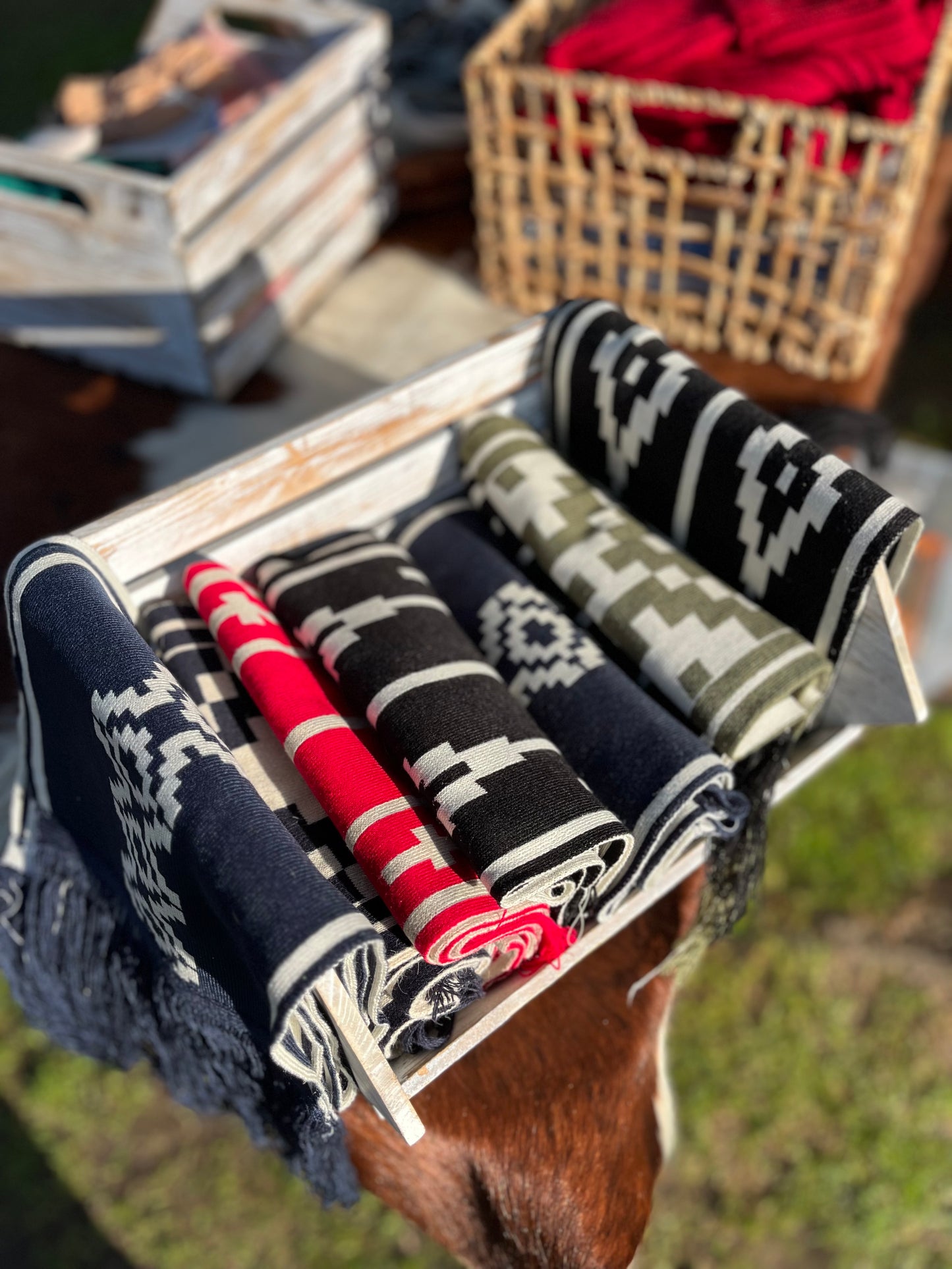 Merino Wool Pampa Scarf