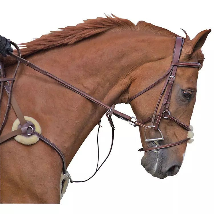 Horse in brown bridle and breastplate