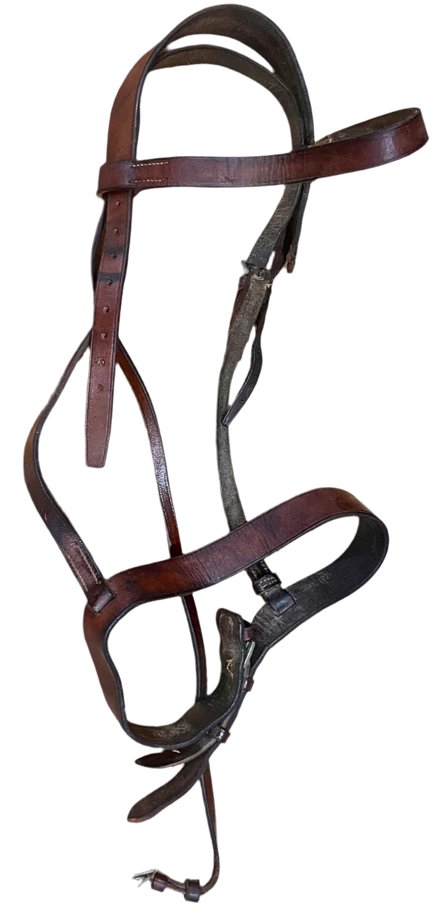 Simple English Bridle