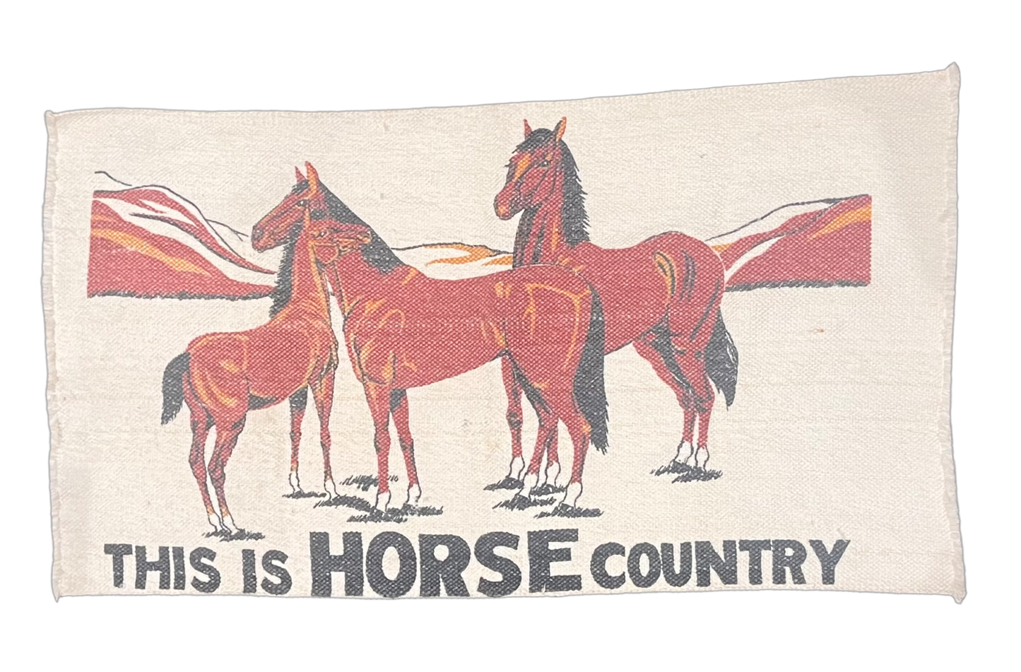 This is Horse Country Tapestry