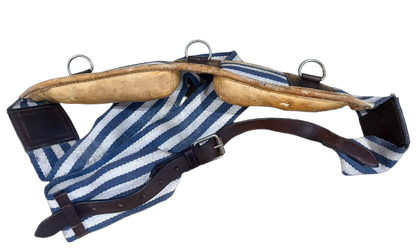 Leather padded  Training Surcingle