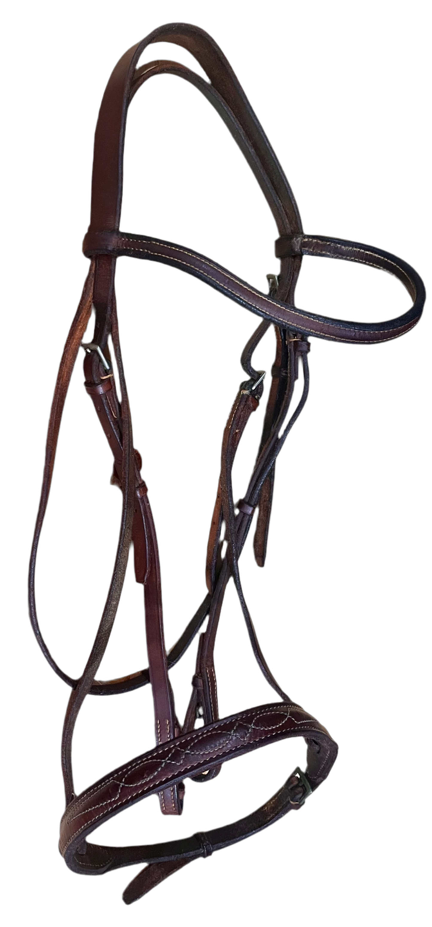 English Schooling Bridle | Eldonian