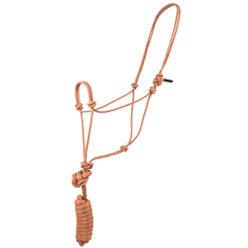 Tan rope halter with lead