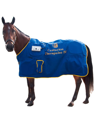 Horse modeling blanket