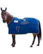 Horse modeling blanket