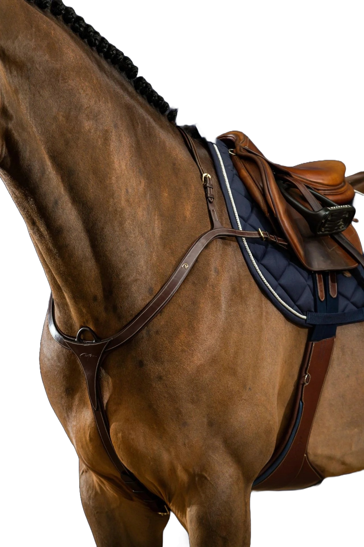 Horse modeling breast plate with other tack