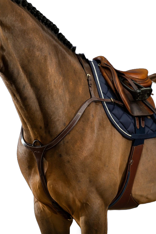 Horse modeling breast plate with other tack