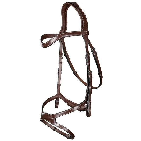 Closeup of bridle in brown leather