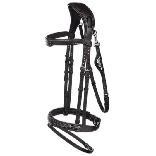 Closeup of black leather bridle