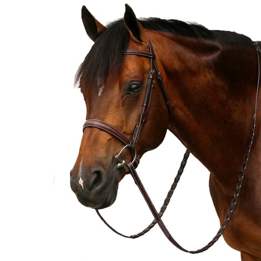 Horse wearing leather bridle