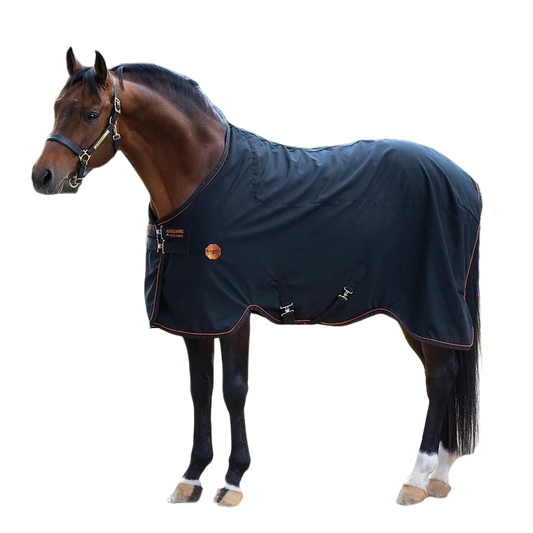 Horse modeling fleece stable sheet