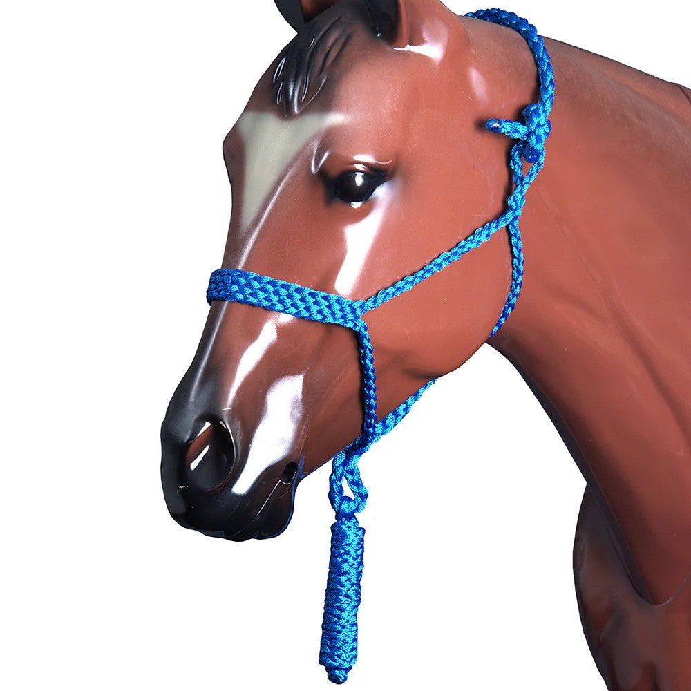 Blue rope halter with flat braided noseband