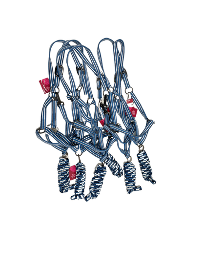 Multiple halters and lead ropes