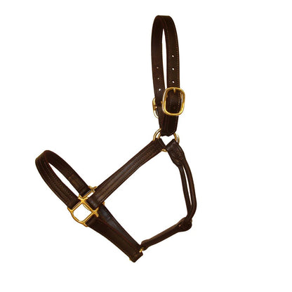 Brown leather halter