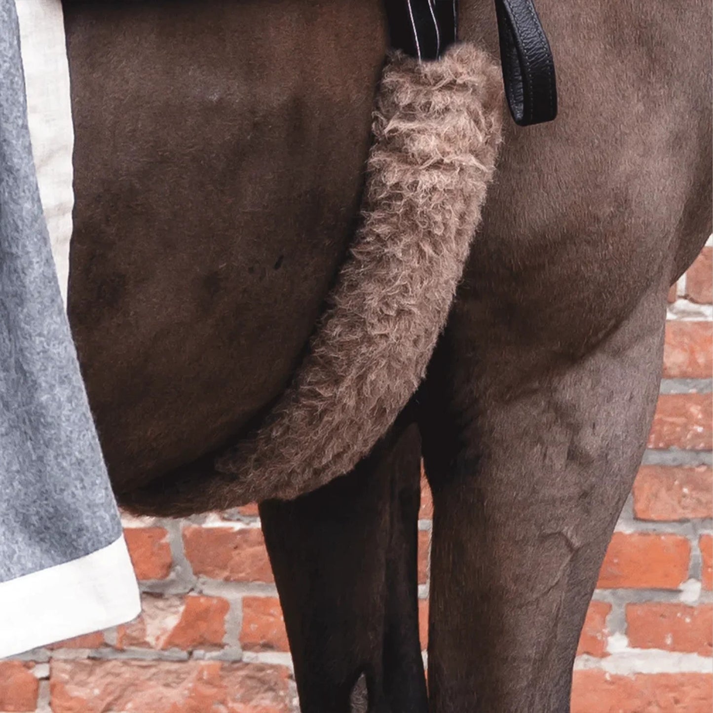 Horse wearing girth with alpaca cover