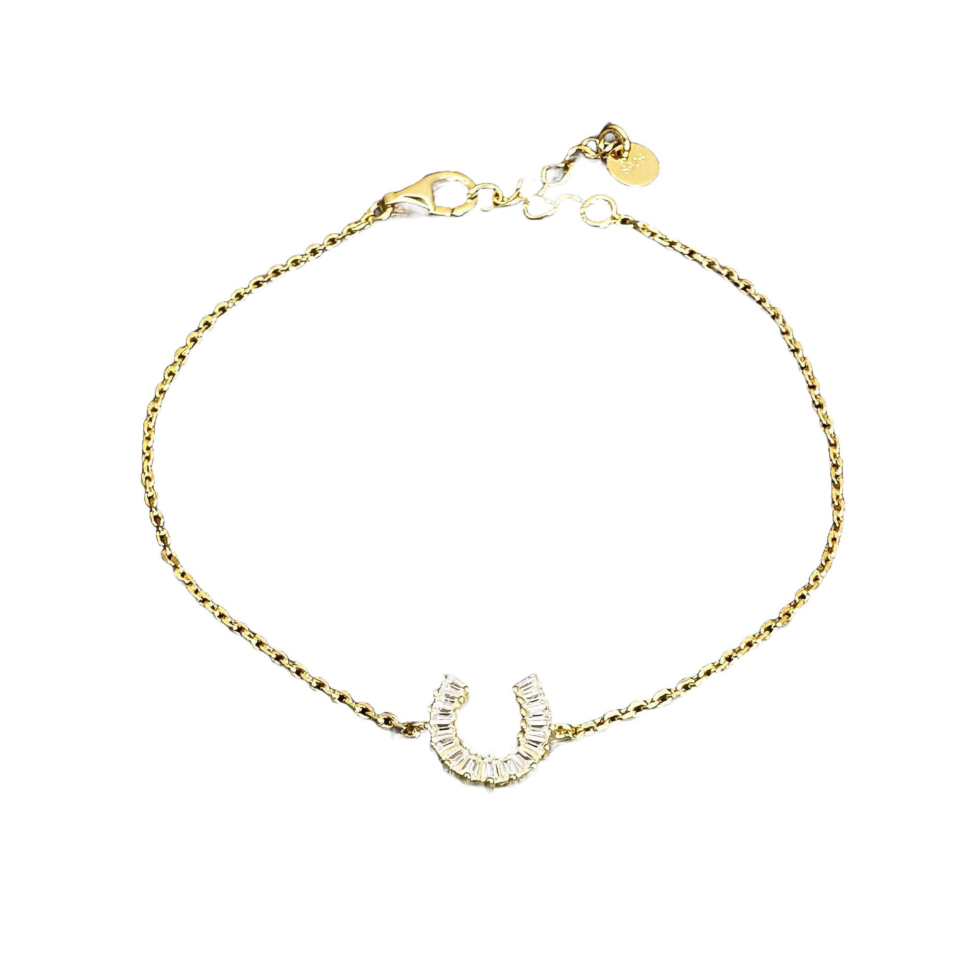 Close up of gold plated necklace with horseshoe charm