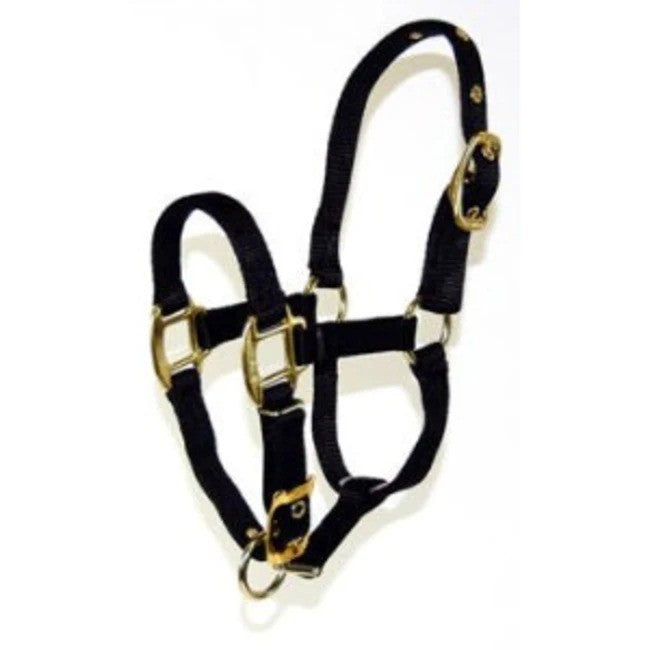 Black nylon halter