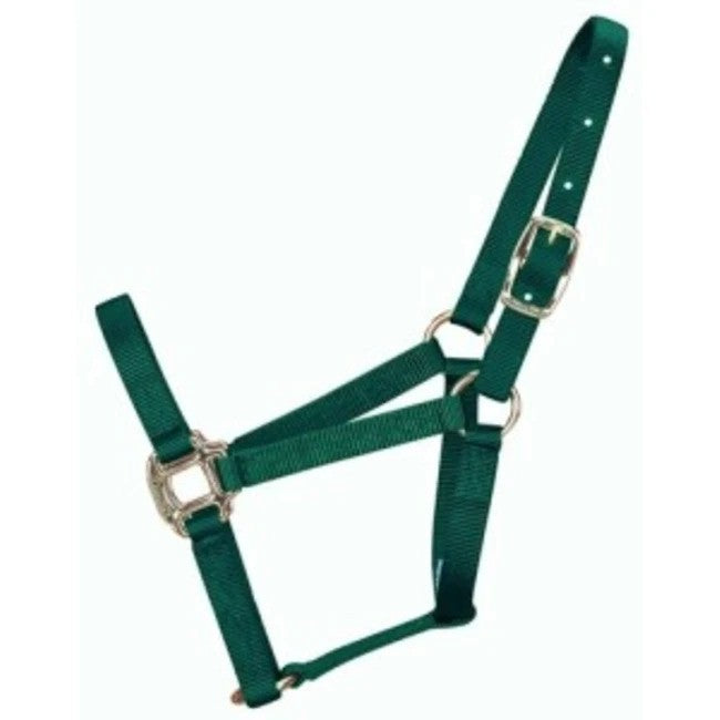 Green nylon halter