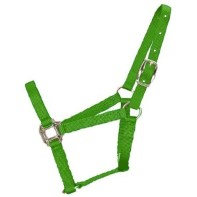 Lime Green nylon halter