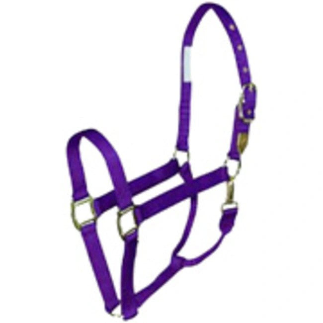 Purple nylon halter