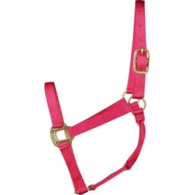 Rasberry nylon halter