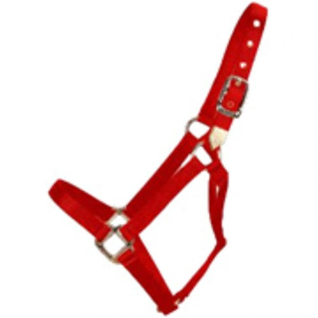 Red nylon halter