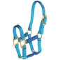 Light blue nylon halter