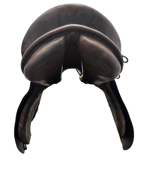 Rear view of saddle