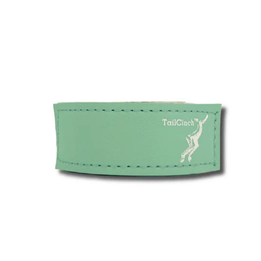 Turquoise tail tie