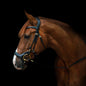 Horse modelling black leather bridle